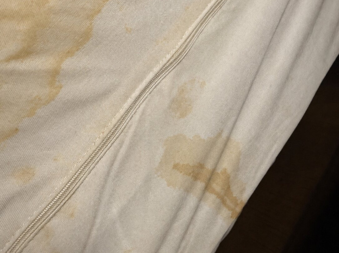 佛伦伦萨I-95舒适套房酒店主图