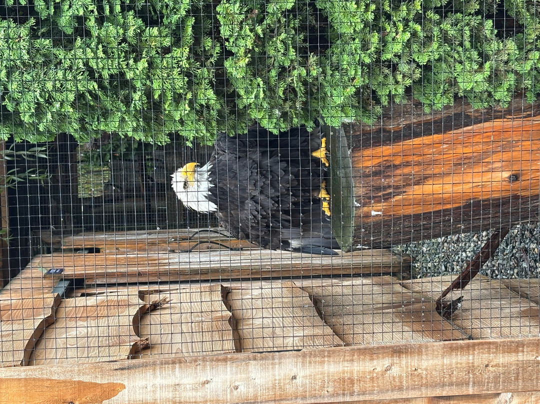 North Island Wildlife Recovery Centre-Errington必去景点