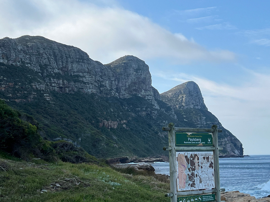 Table Mountain National Park-Cape Point必去景点