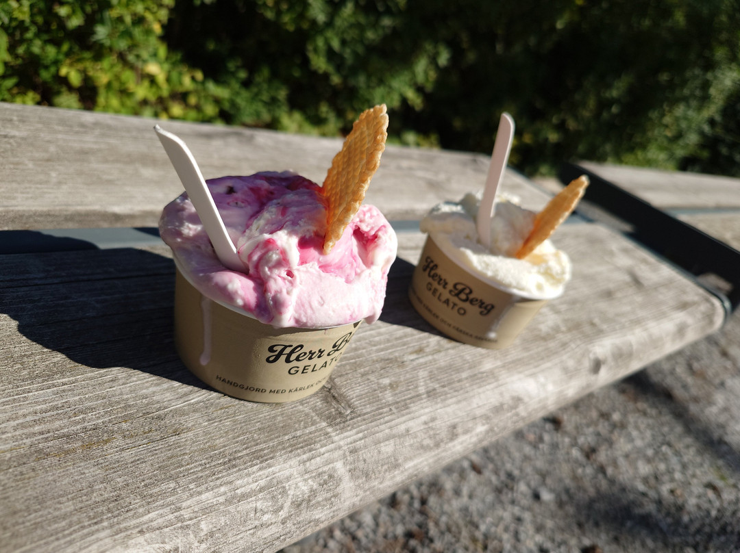 Herr Berg Gelato