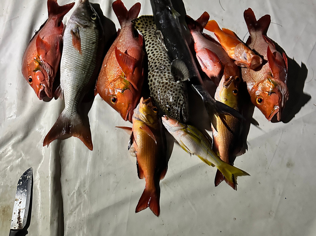 Game Fisher Maldives-Dharavandhoo必去景点
