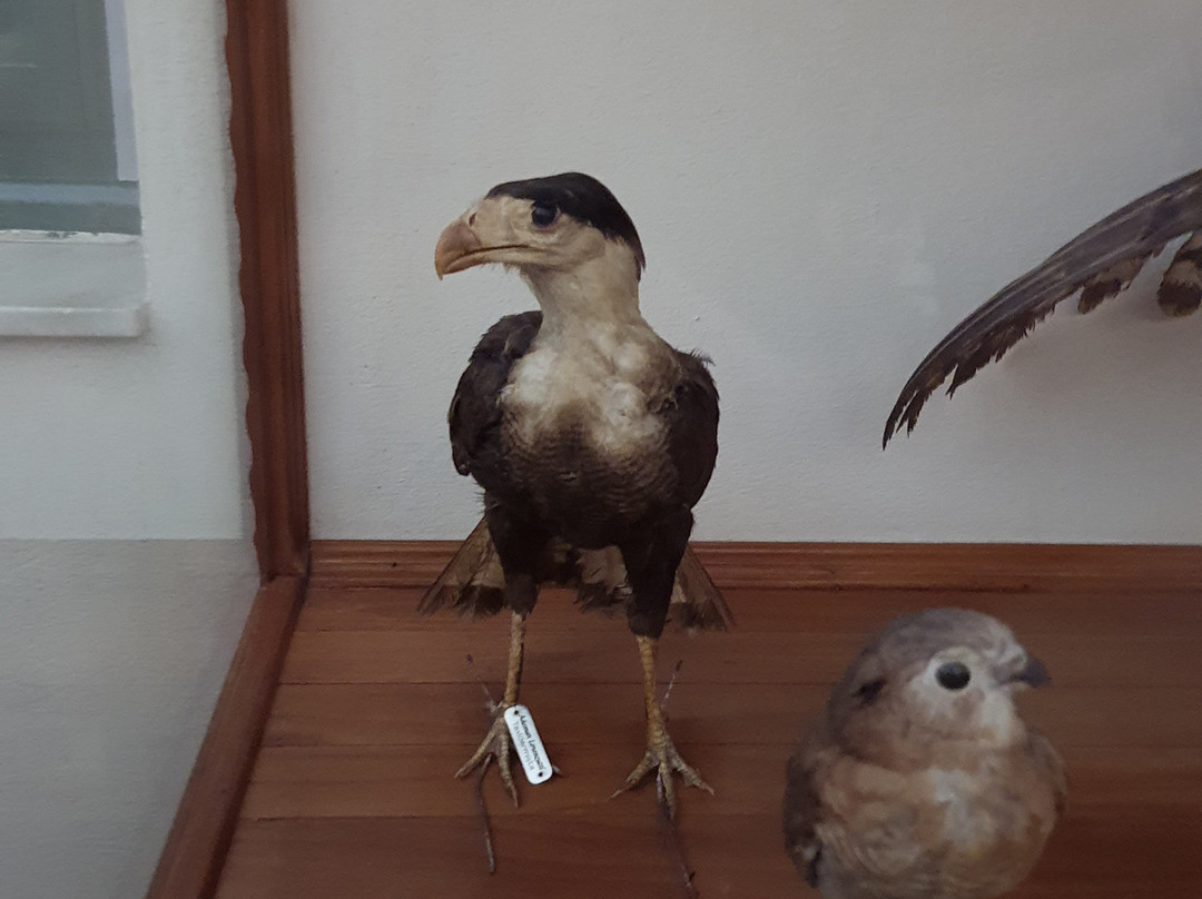 Museu de Biologia Prof. Mello Leitão-Santa Teresa必去景点
