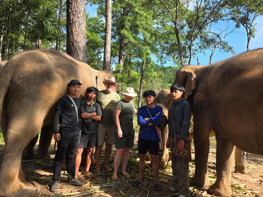 Elephant Freedom Village-清迈必去景点