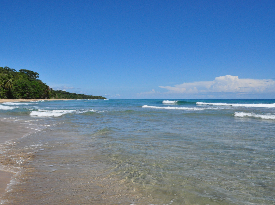 Playa Manzanillo-Manzanillo必去景点