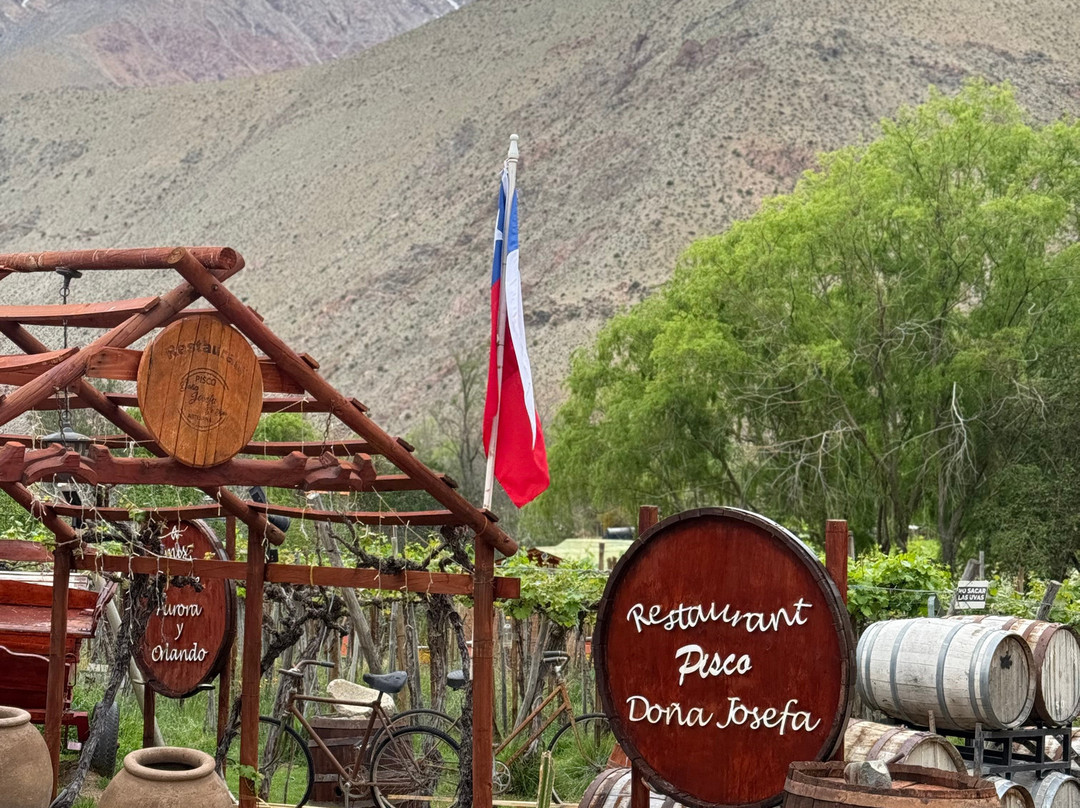 Doña Josefa de Elqui - Pisco Artesanal-Pisco Elqui必去景点