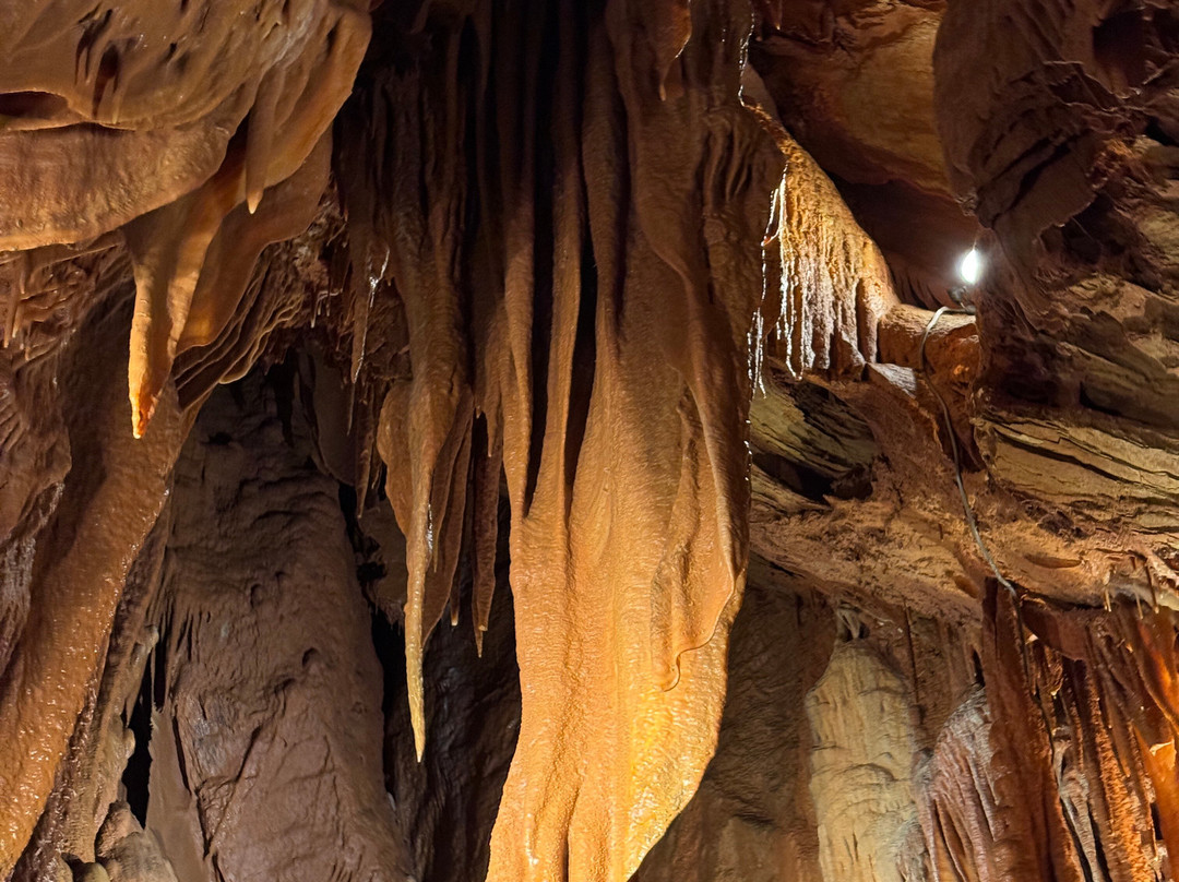 Shenandoah Caverns-Quicksburg必去景点