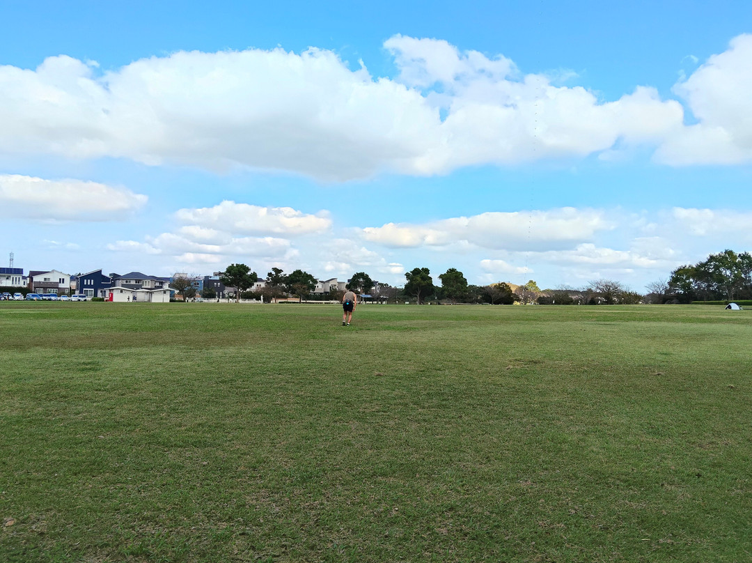 Makinohara Park-印西市必去景点