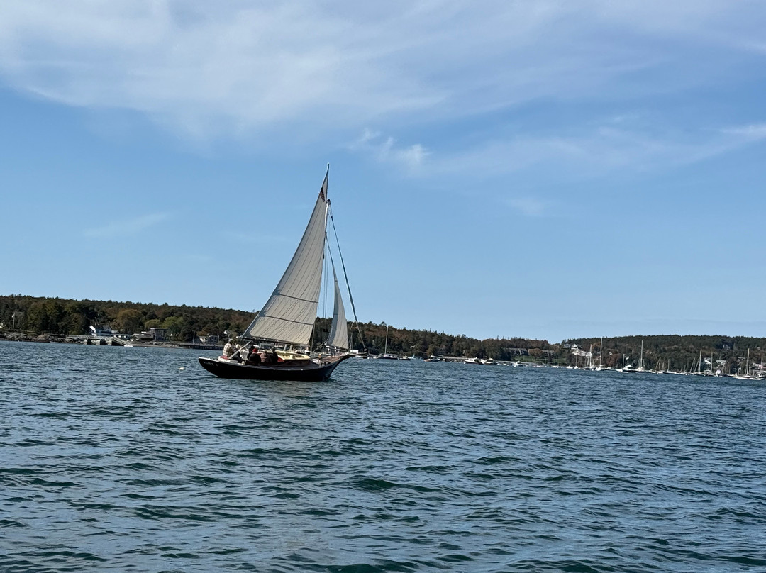 Sail Acadia-Southwest Harbor必去景点