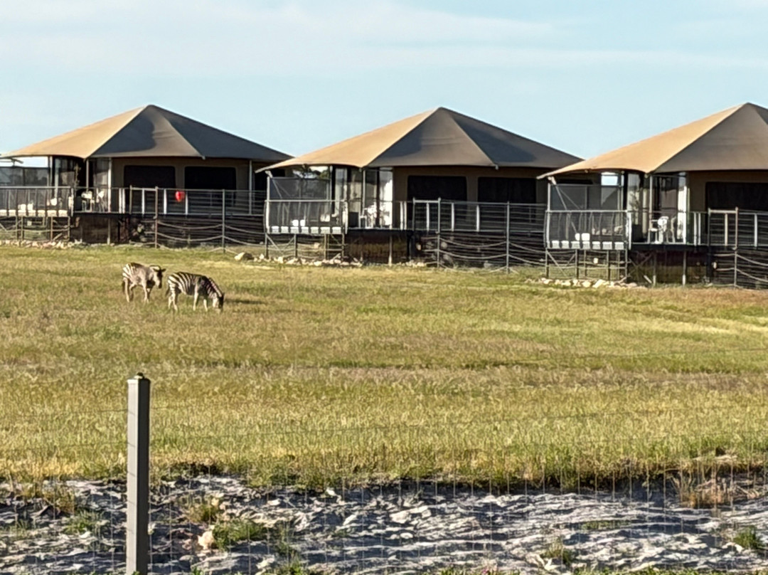 Monarto Safari Park-Monarto必去景点