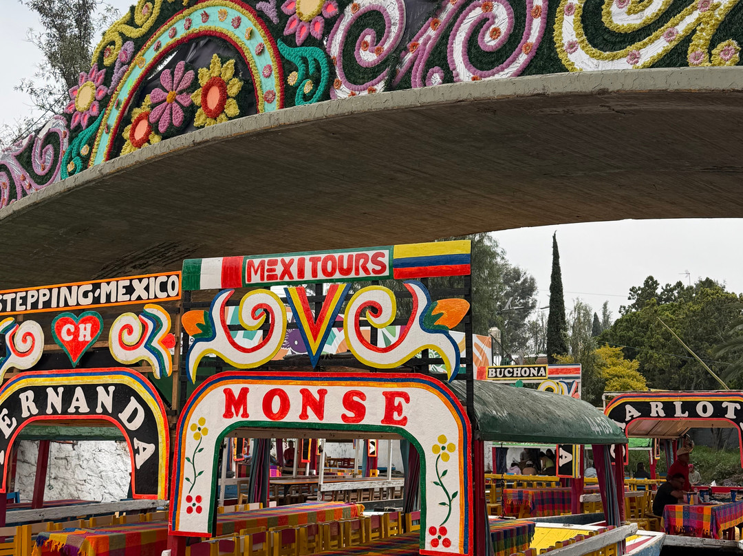 Floating Gardens of Xochimilco-墨西哥城必去景点