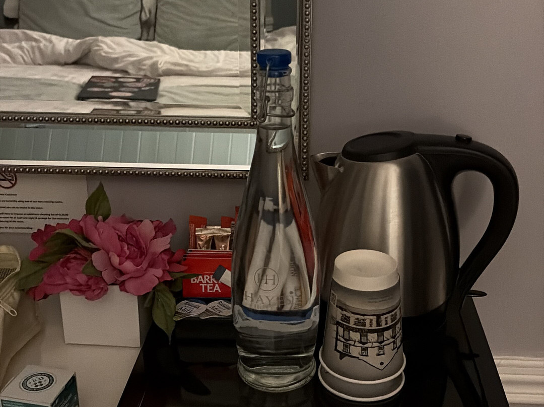 哈耶斯酒店主图