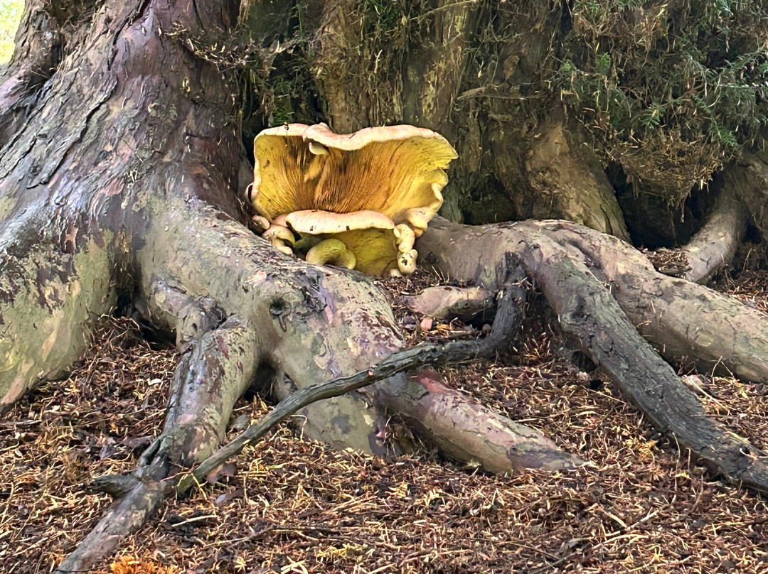 Upton House & Gardens-Ratley and Upton必去景点