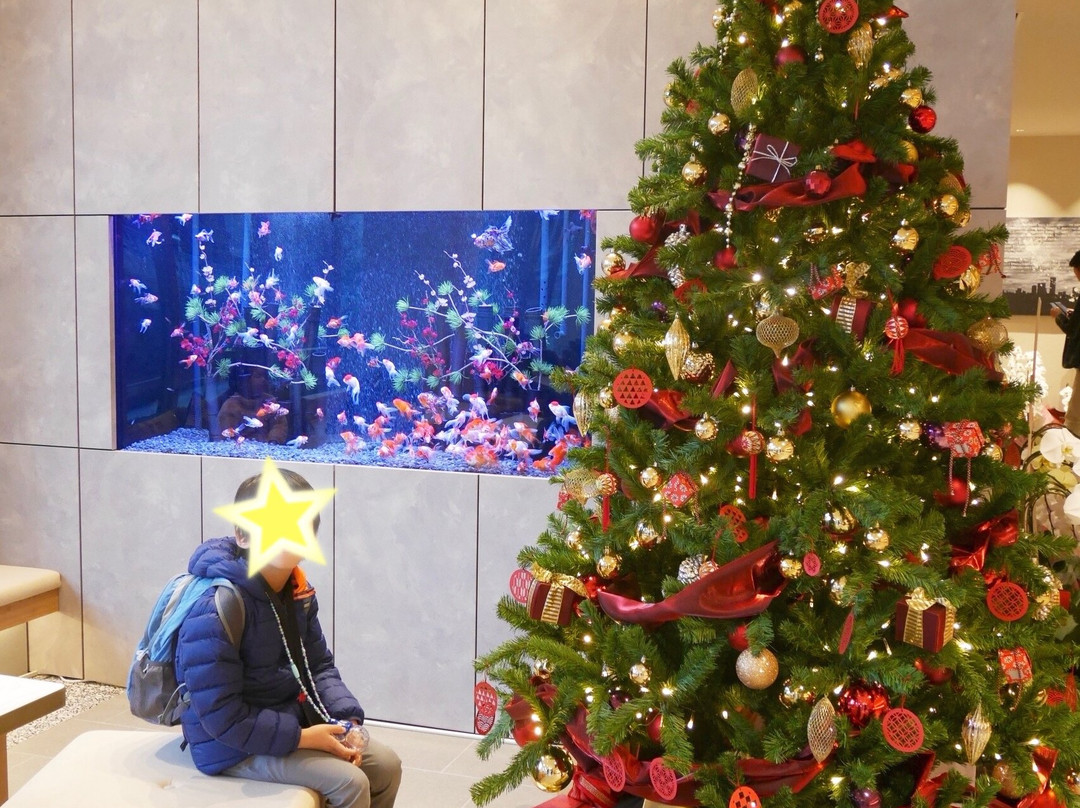 hotel MONday Premium TOYOSU