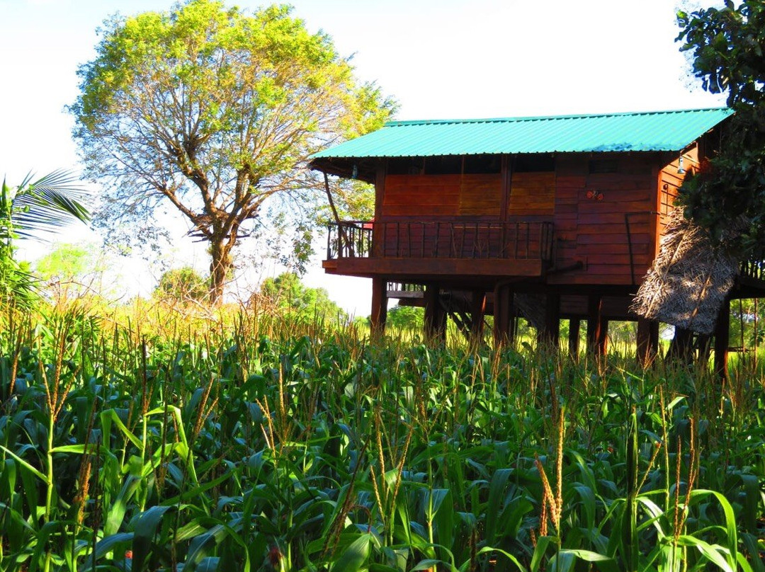 Chena Huts Eco Resort