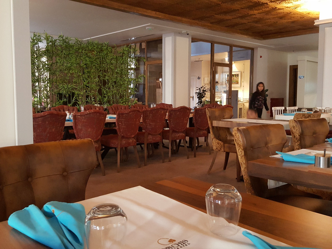 Balikesir Province酒店住宿-Orchis Hotel