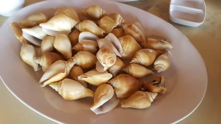 桑普纳再也酒店