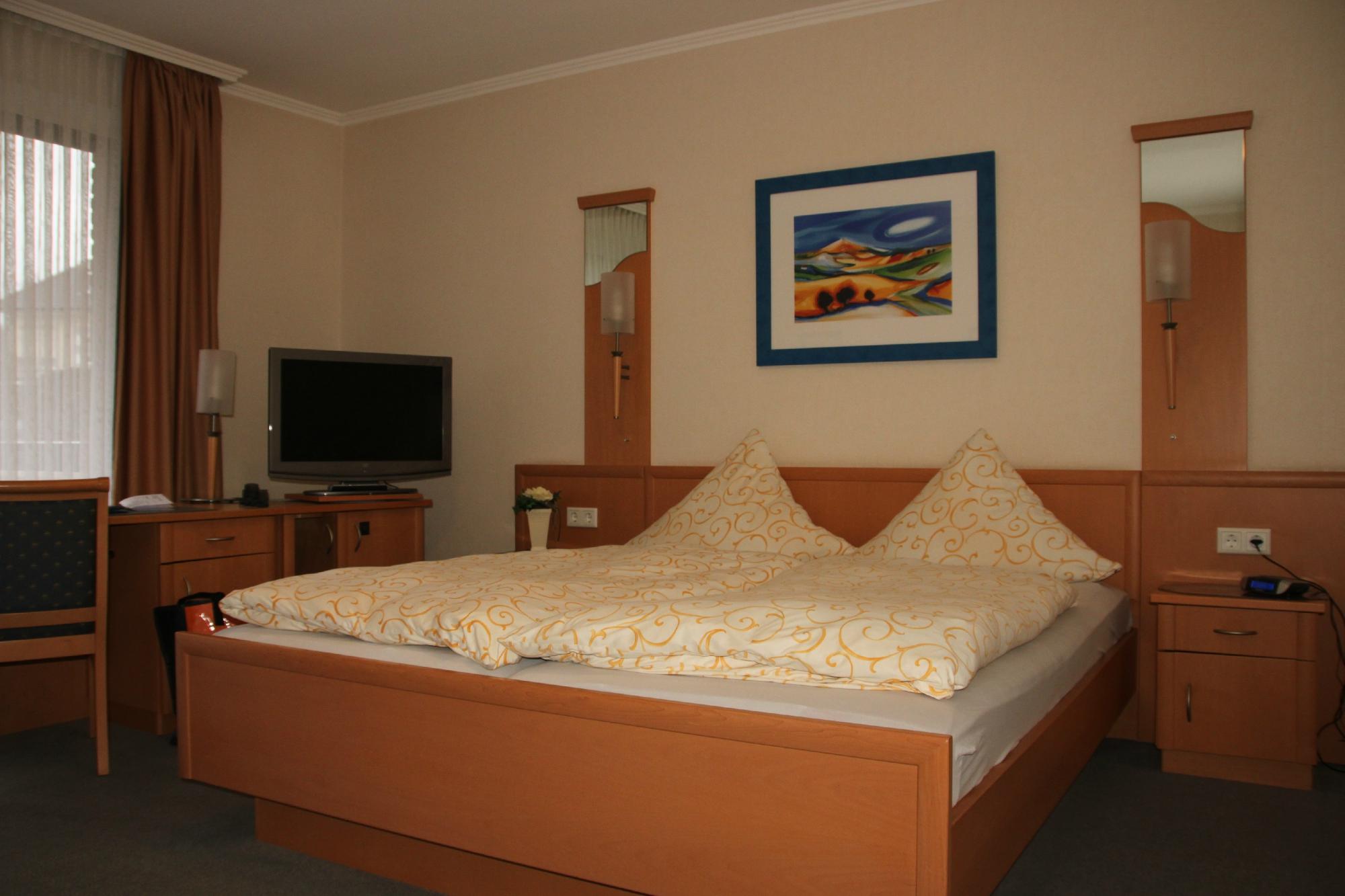 Hotel Dreyer-客卧