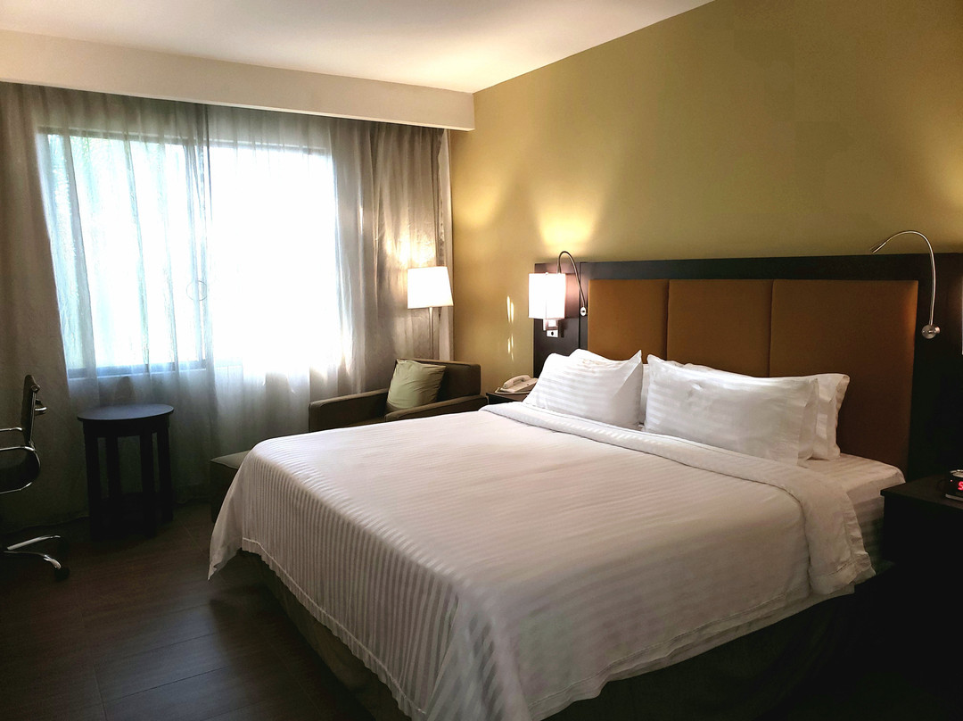 Holiday Inn Tampico Altamira by IHG主图