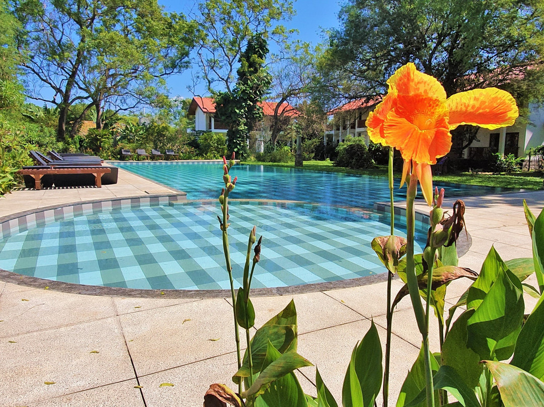 蒂瑟默哈拉默酒店住宿-蓝色图尔特乐酒店