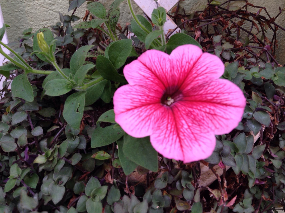 Motel Le Monde主图