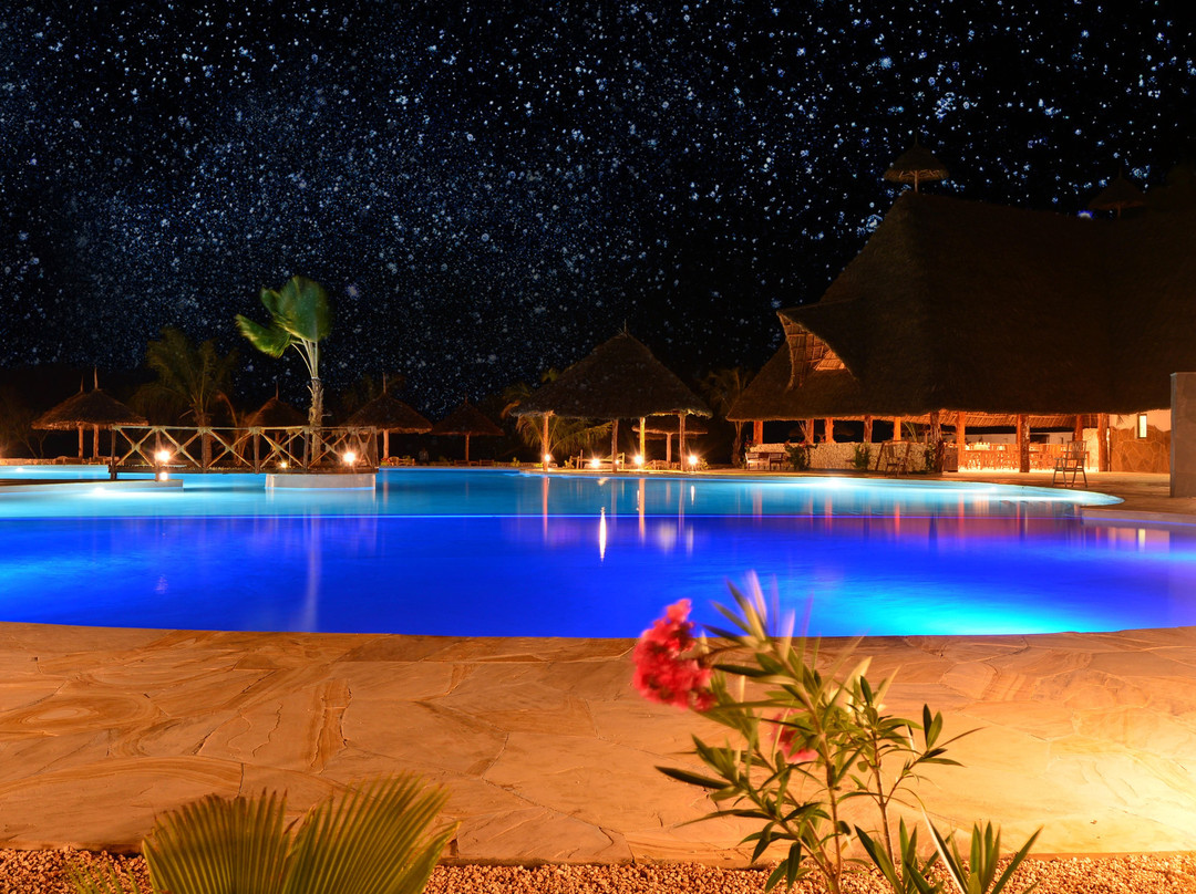 蓬圭酒店住宿-White Paradise Zanzibar