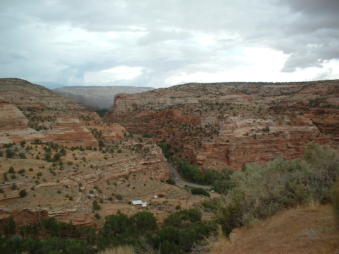 Anasazi State Park Museum景点图片