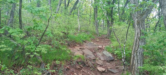 Taehwa San-丹阳郡必去景点