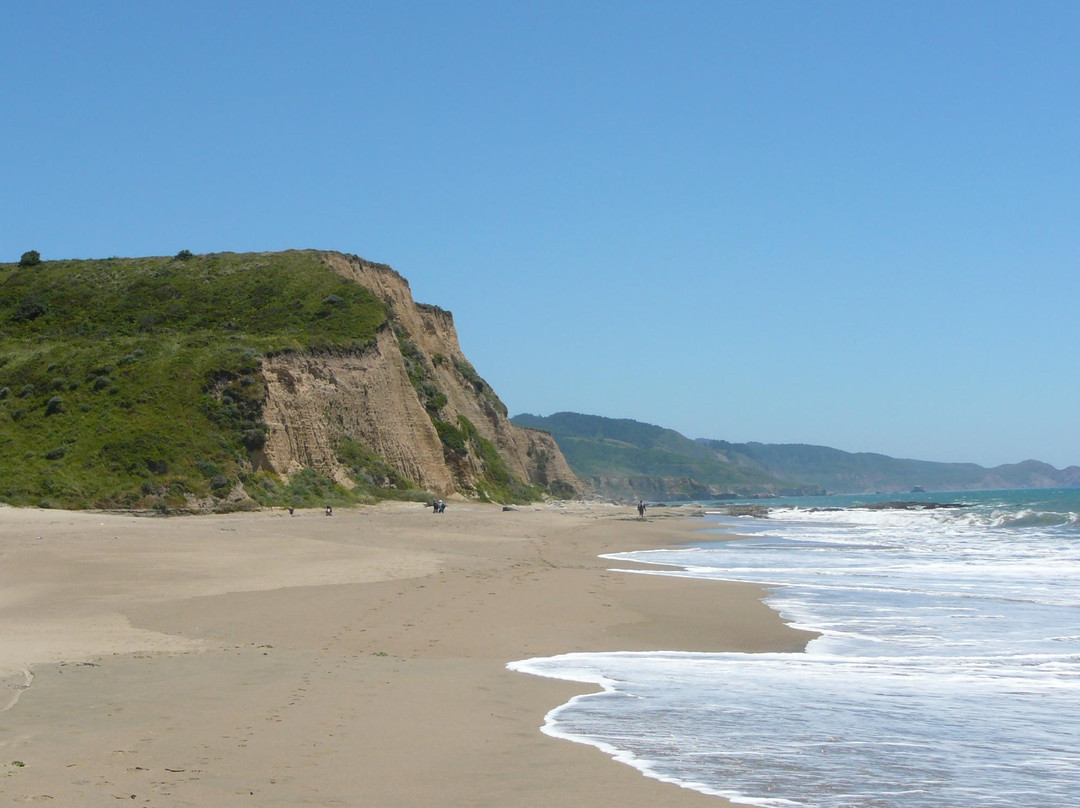 Sculptured Beach景点图片