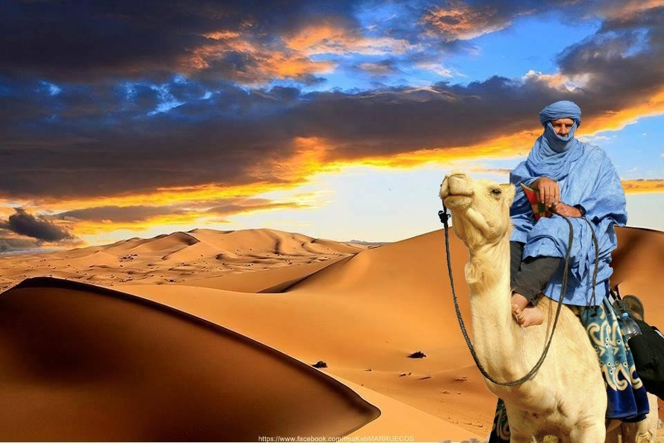 Berber Cultural Center-Marrakech-Safi必去景点