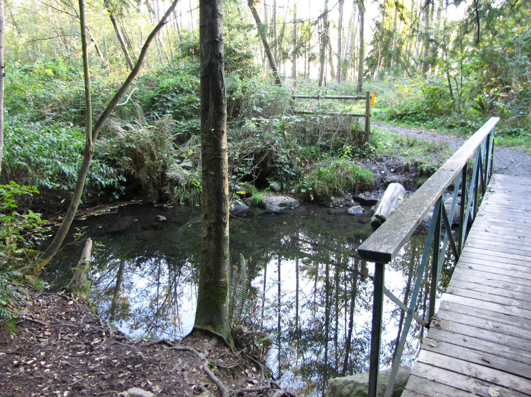 Watershed Park景点图片