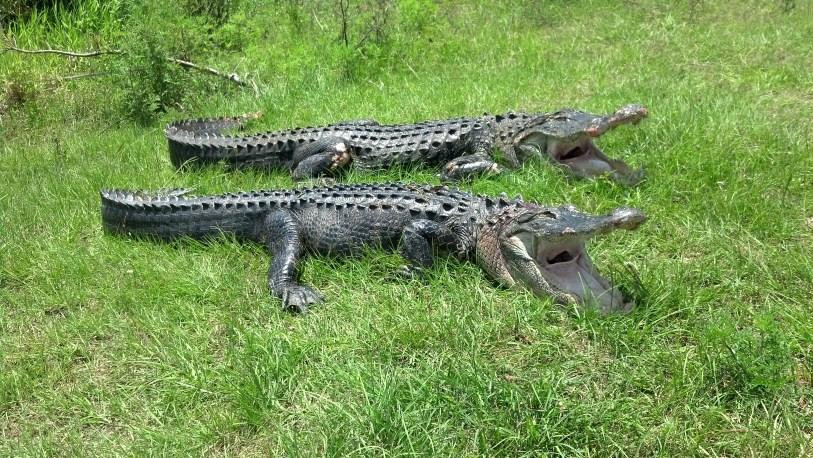 Get Bit Outdoors-Oviedo必去景点