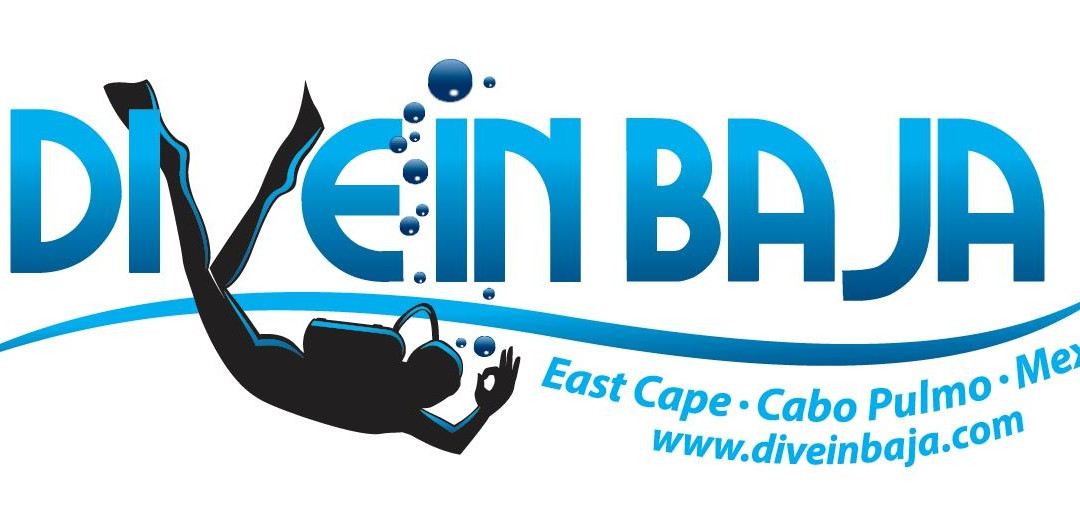 Dive In Baja-Los Barriles必去景点