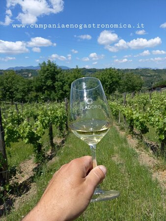 Azienda Agricola Filadoro