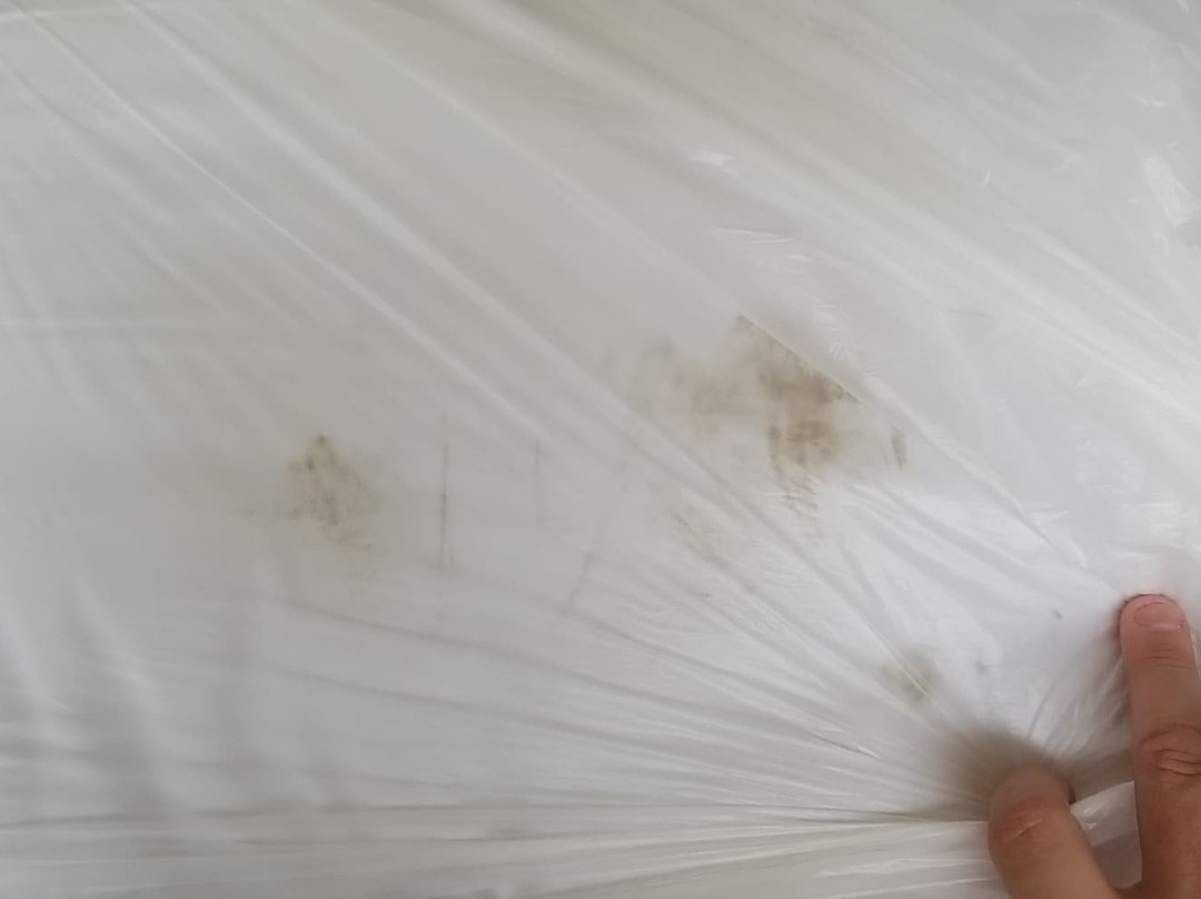 AmeriVu Inn & Suites - Shawano