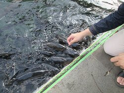 Objek Wisata Cibulan-Maniskidul必去景点