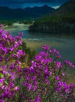 科加劲湖自然保护区-Korgalzhyn必去景点