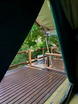 Amafu Forest Lodge主图