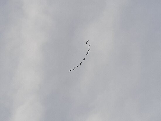Collingwood Beach-杰尔维斯湾必去景点