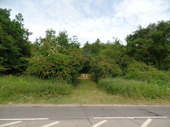 Carnmoney Hill景点图片
