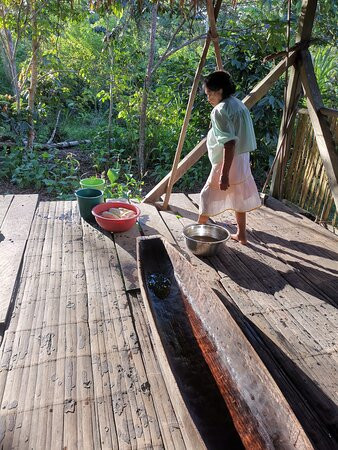 Tour Cuyabeno - Canangueno Lodge景点图片