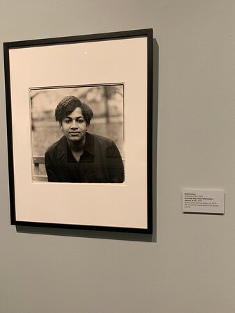 LSU Museum of Art-巴吞鲁日必去景点