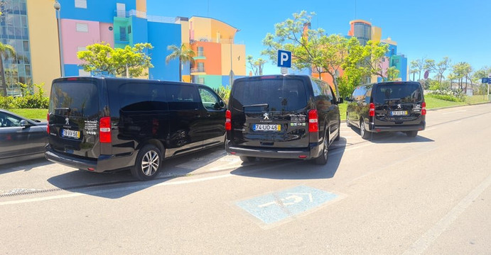 Fat Cats Transfers-阿尔布赞拉必去景点