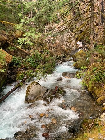 Ladder Creek Falls景点图片