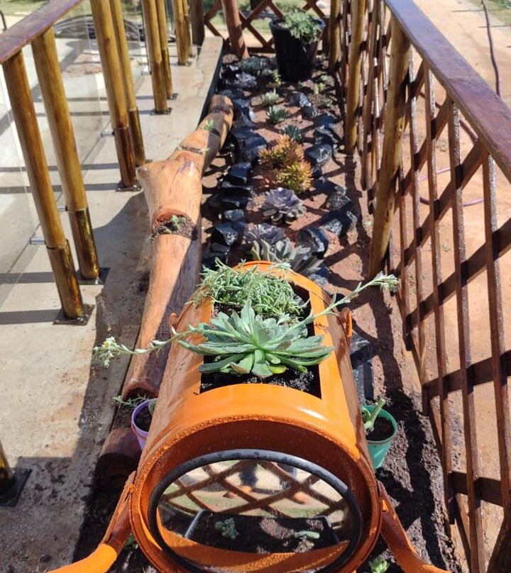 Park Vitrine Das Flores-塞拉内格拉必去景点