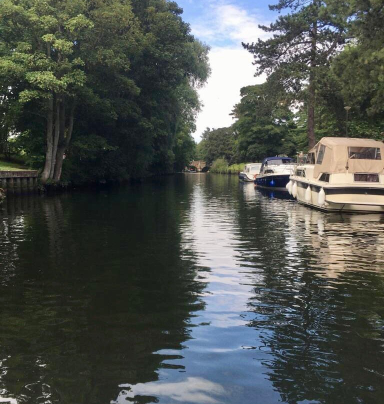 Norfolk Paddle Boards-诺威奇必去景点