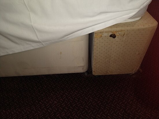 Oyo Swandown Hotel主图