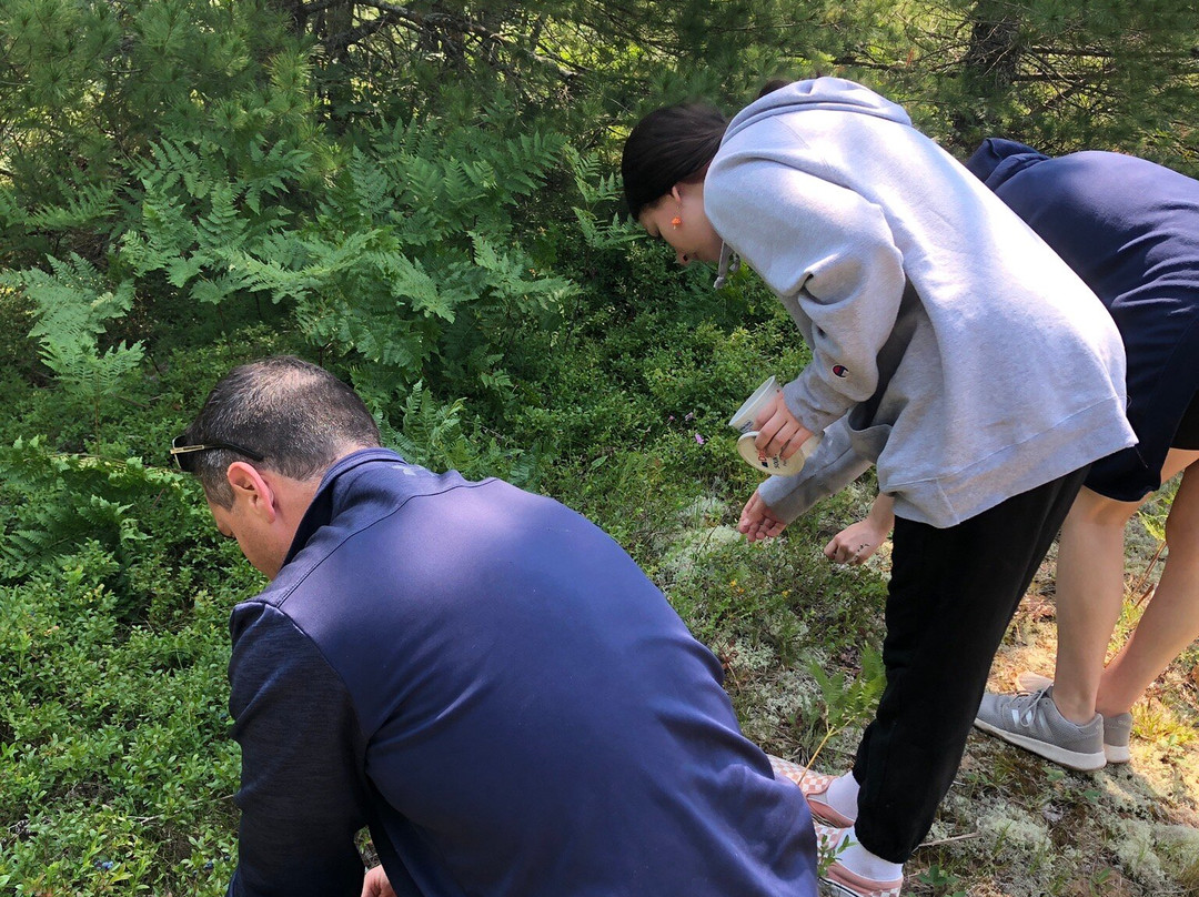 Husky Haven Kennels-Shingleton必去景点