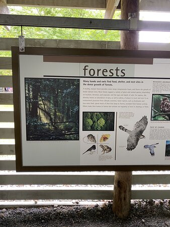 Vermont Institute of Natural Science - VINS-Quechee必去景点