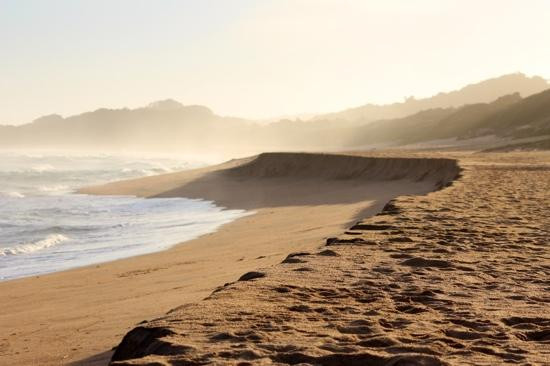 Zinkwazi Beach-Zinkwazi Beach必去景点