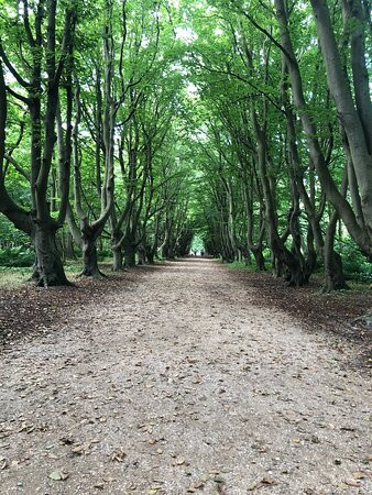 Nature Reserve de Manteling-Oostkapelle必去景点
